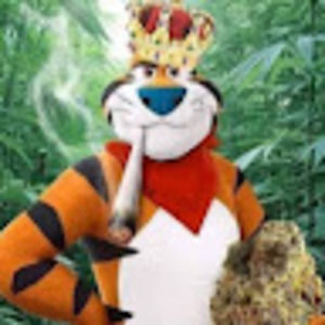 Meet your Posher, Tony